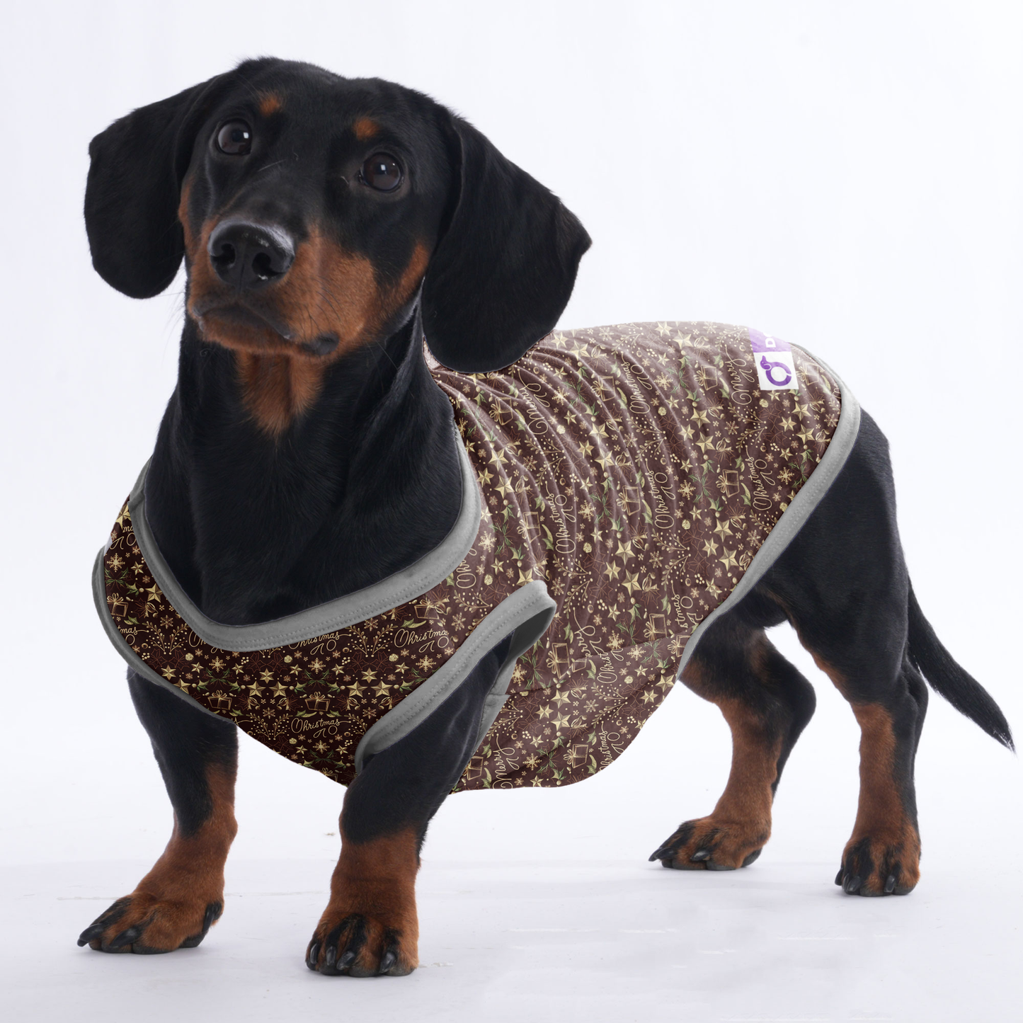Lola - Shirt for Dachshunds