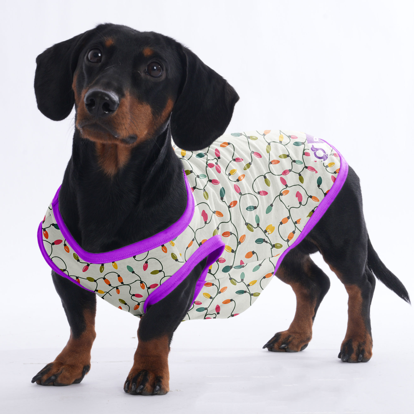 Rocky - Shirt for Dachshunds