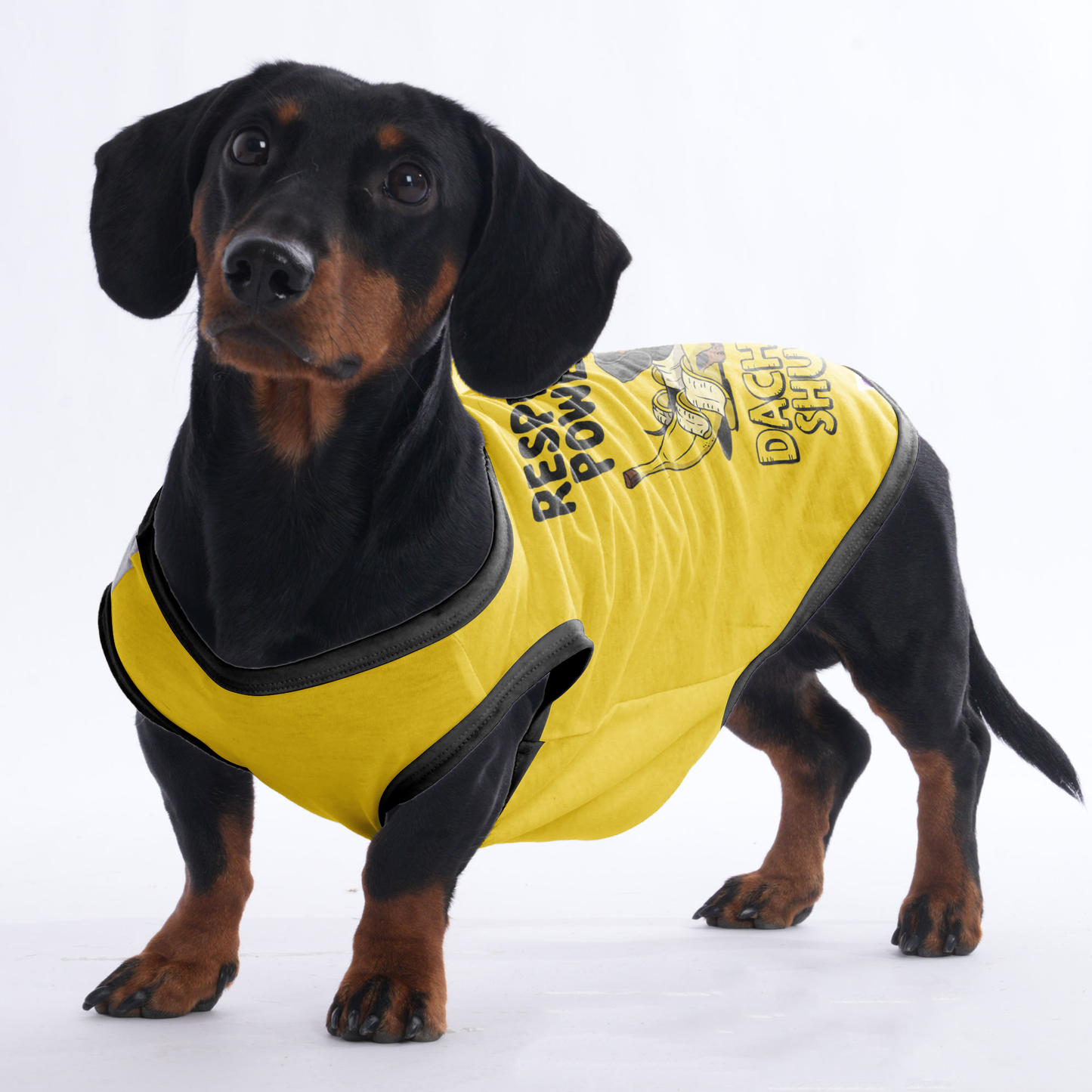 Bear - Shirt for Dachshunds