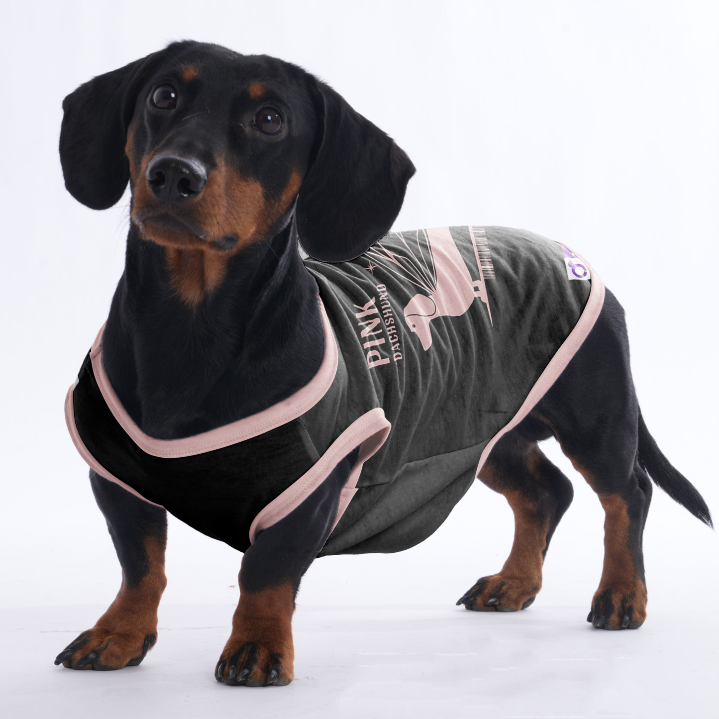 Chloe - Shirt for Dachshunds