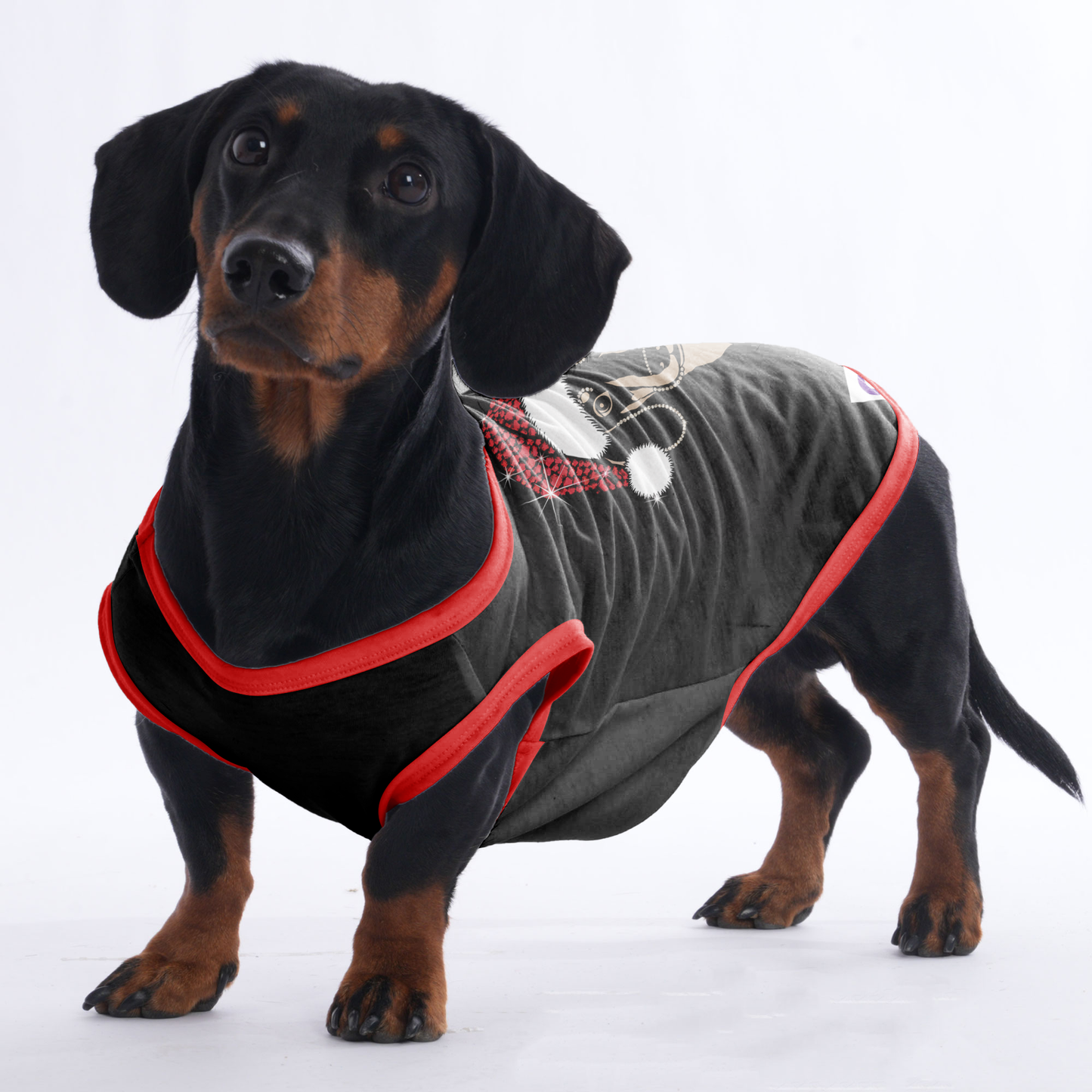 Luna - Shirt for Dachshunds