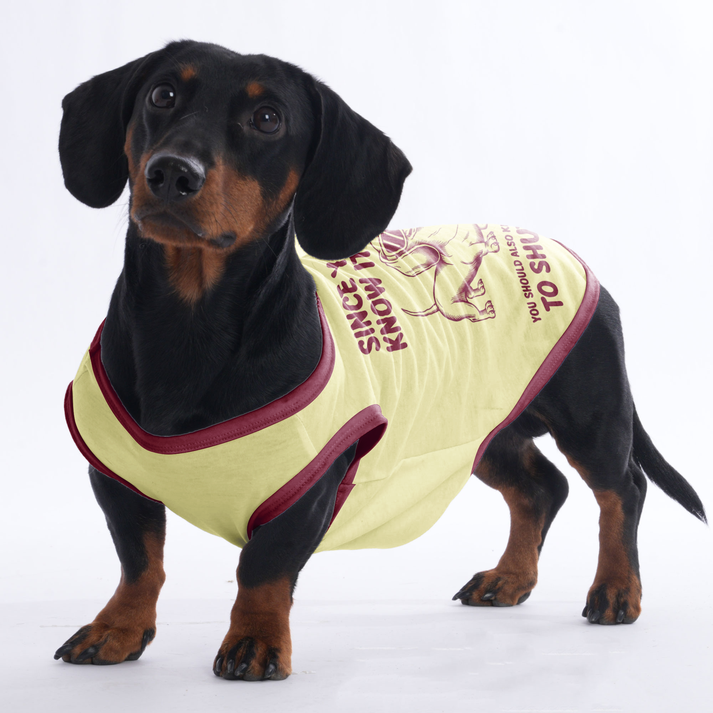 Zoey - Shirt for Dachshunds