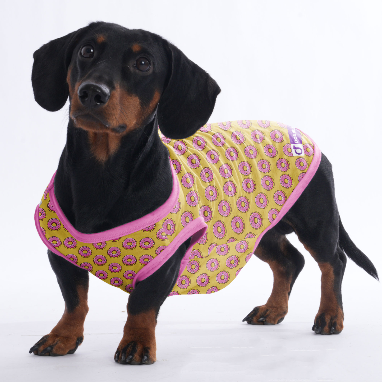 Lily - Shirt for Dachshunds