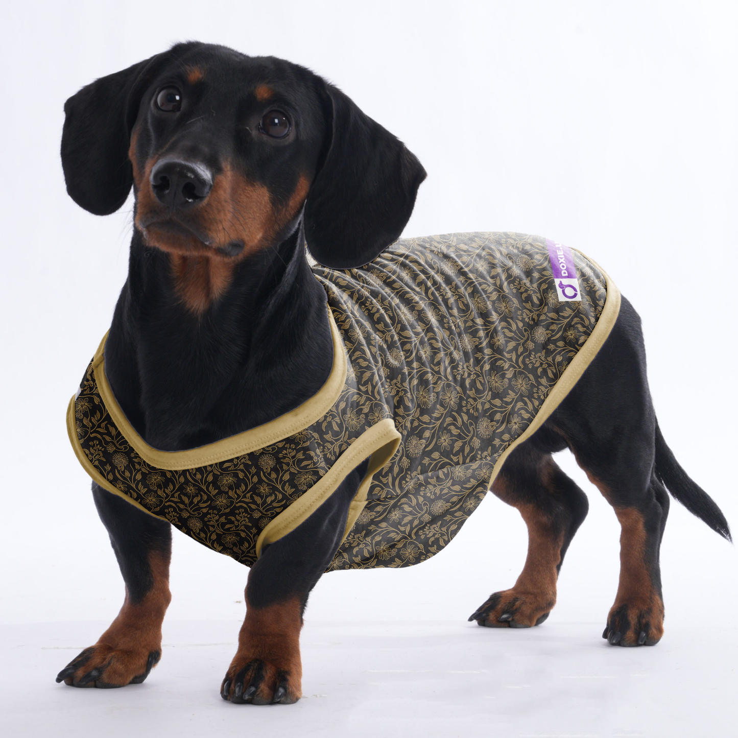Toby - Shirt for Dachshunds