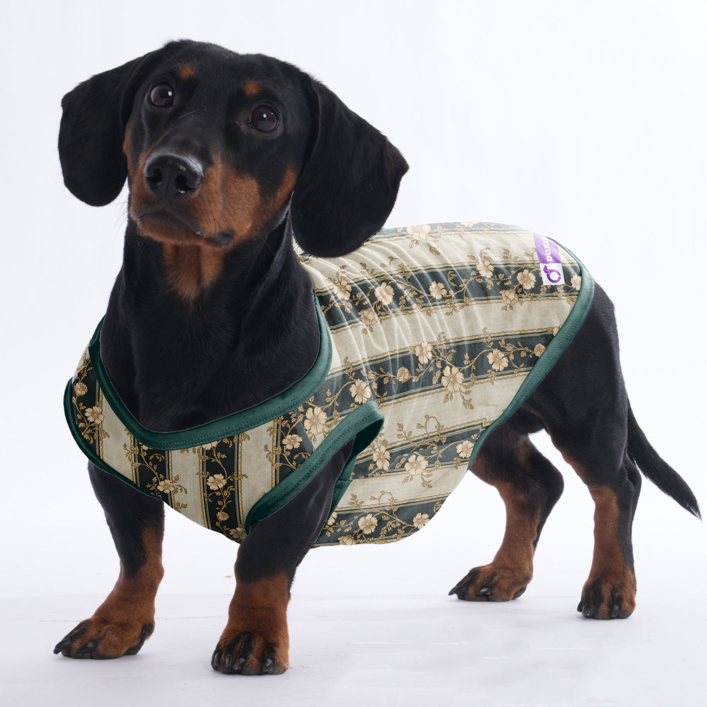 Henry - Shirt for Dachshunds
