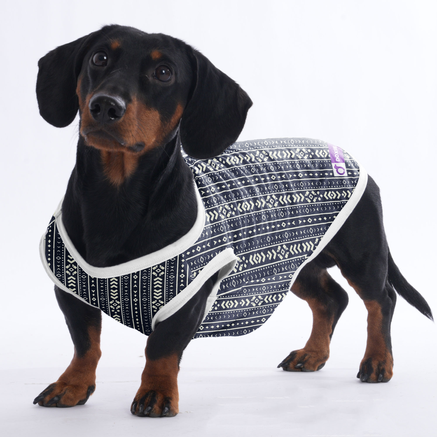 Ellie - Shirt for Dachshunds