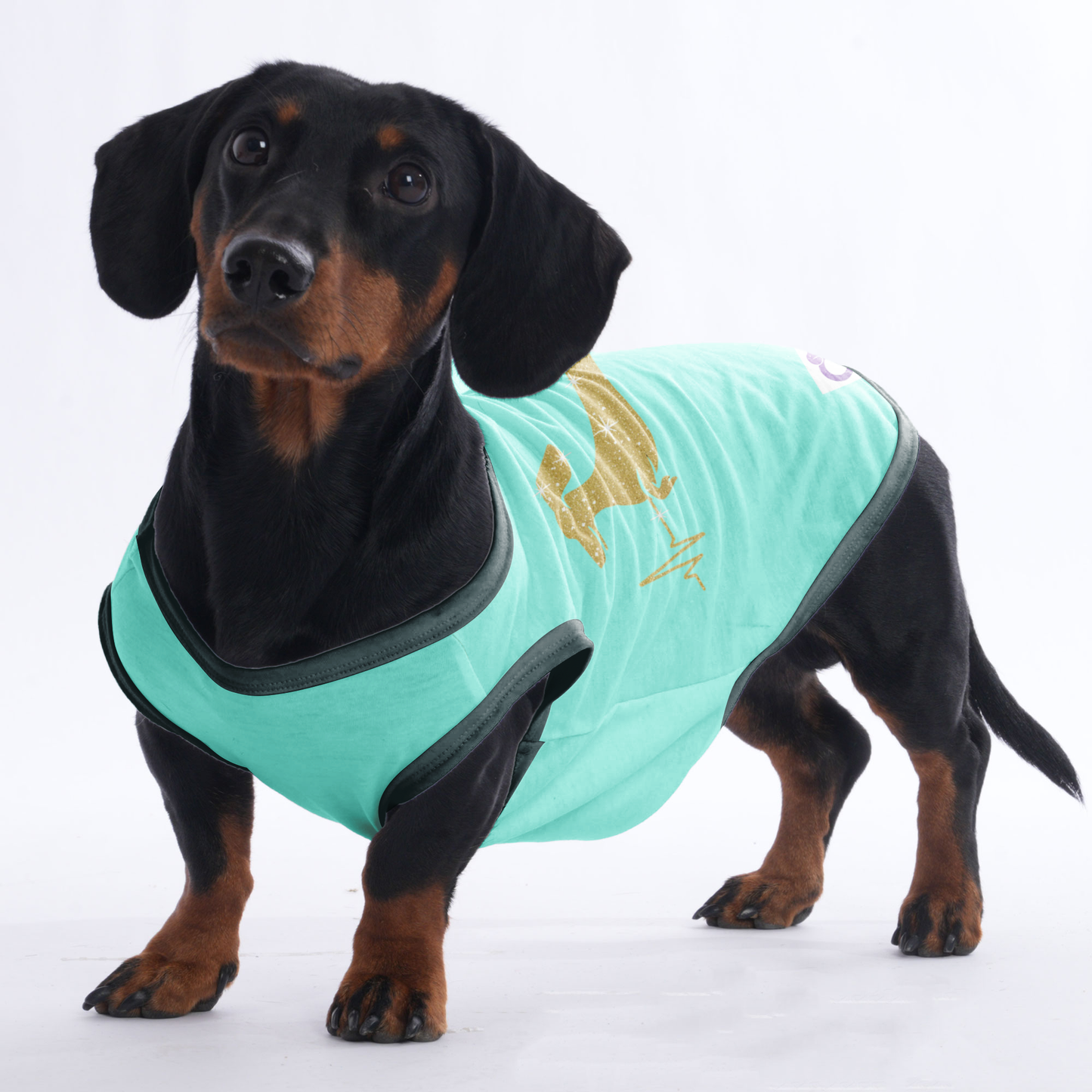 Max - Shirt for Dachshunds