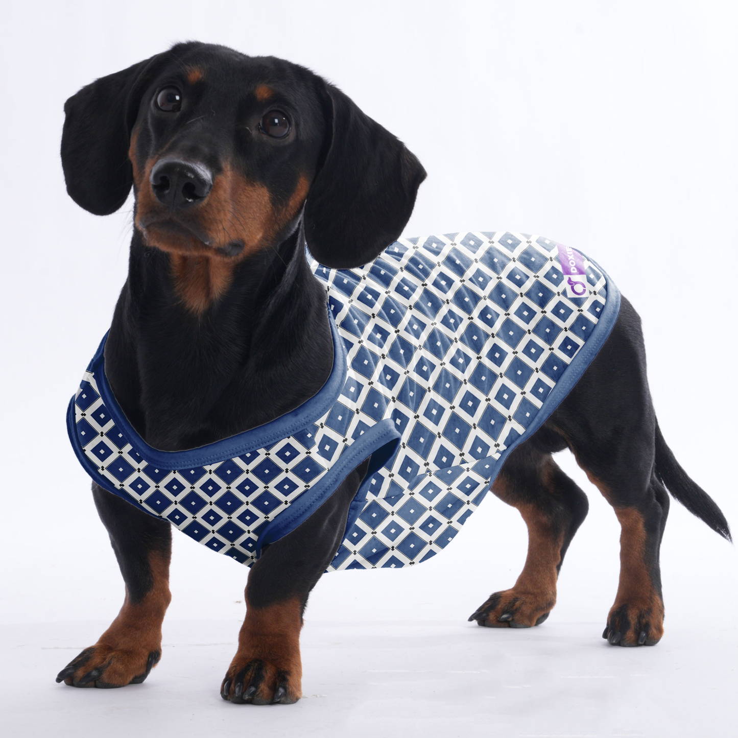 Willow - Shirt for Dachshunds