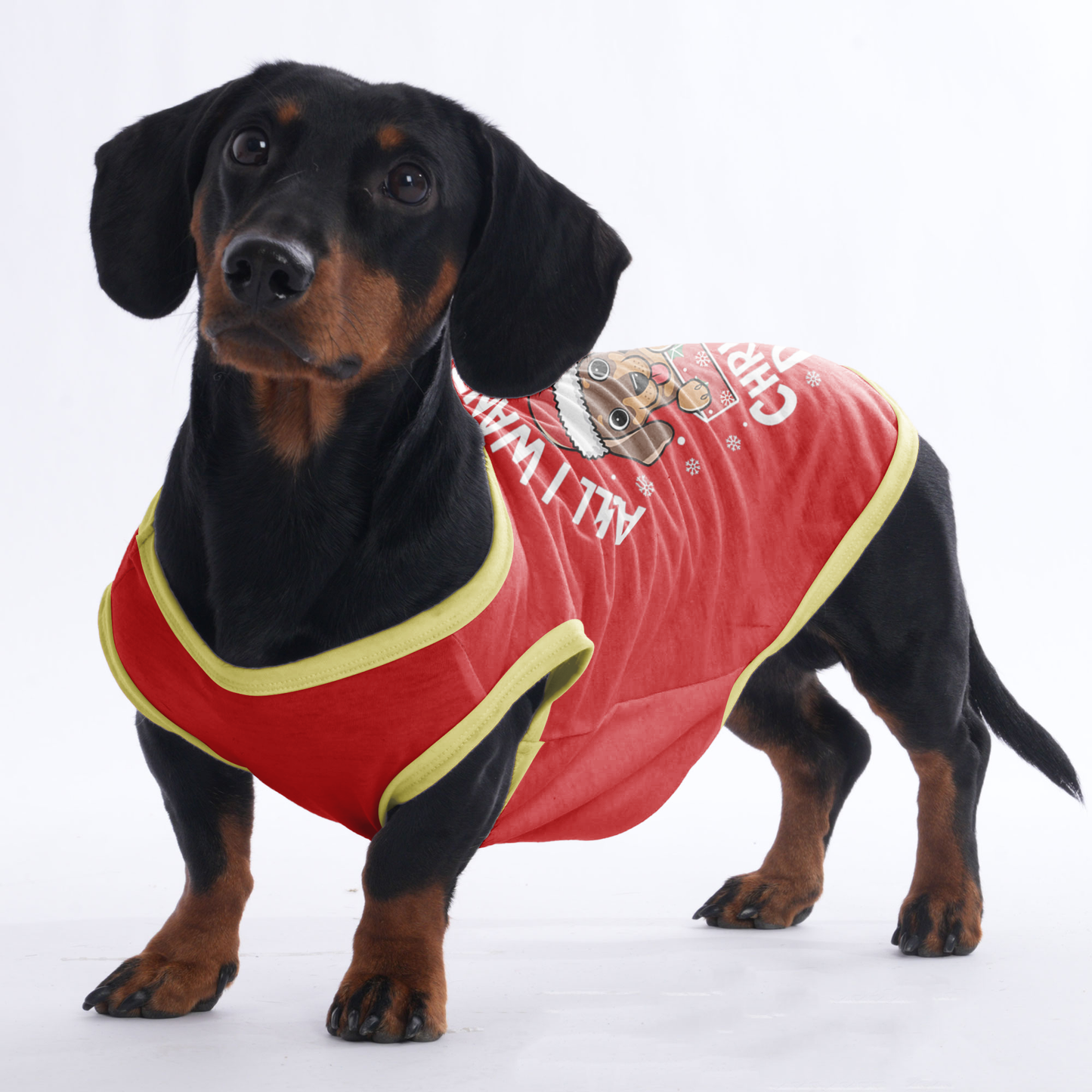 Daisy - Shirt for Dachshunds