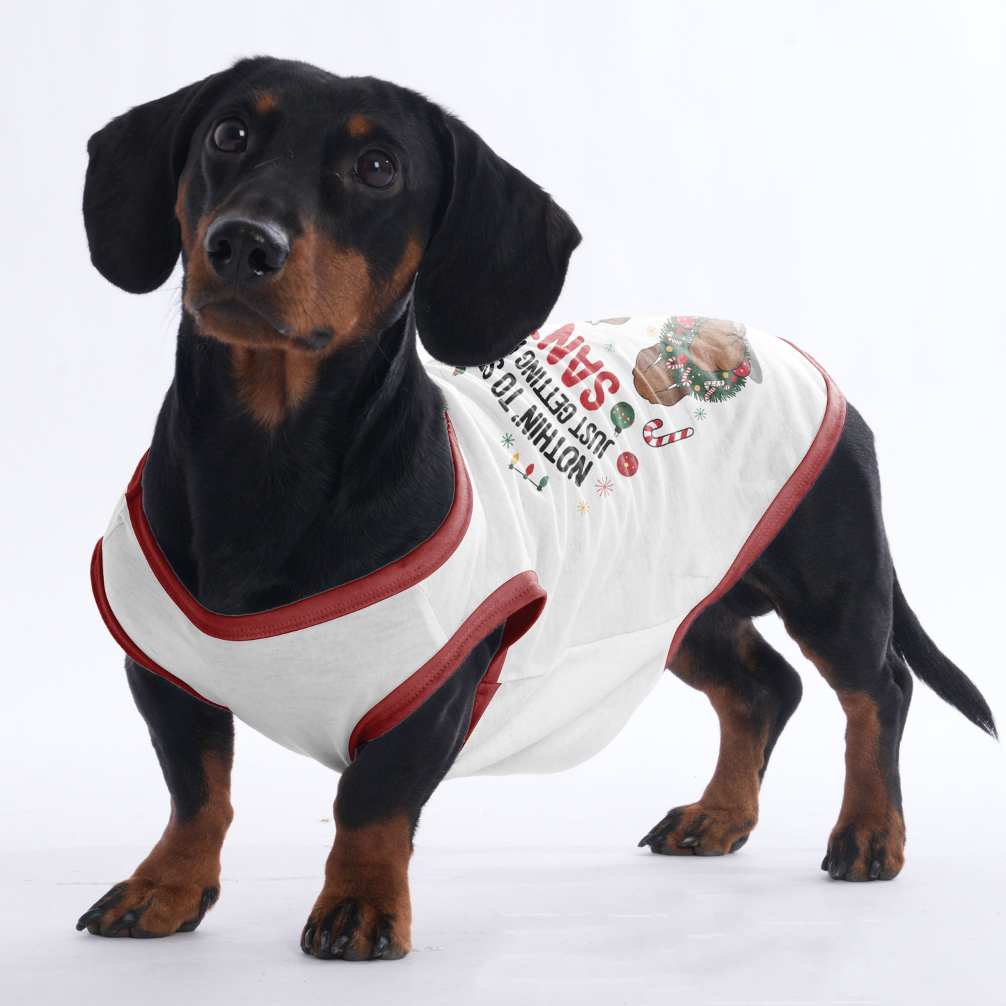 Buddy - Shirt for Dachshunds