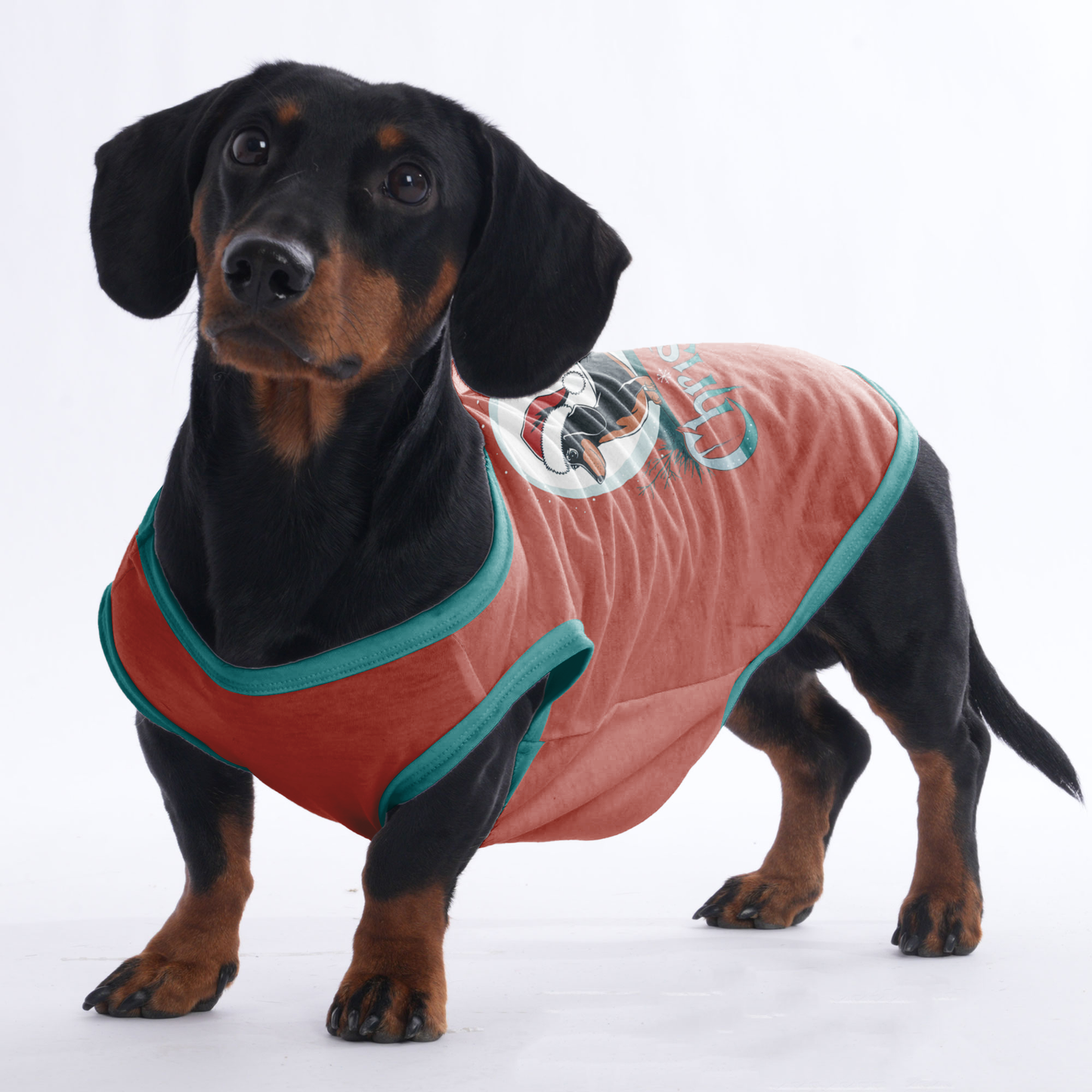 Milo - Shirt for Dachshunds