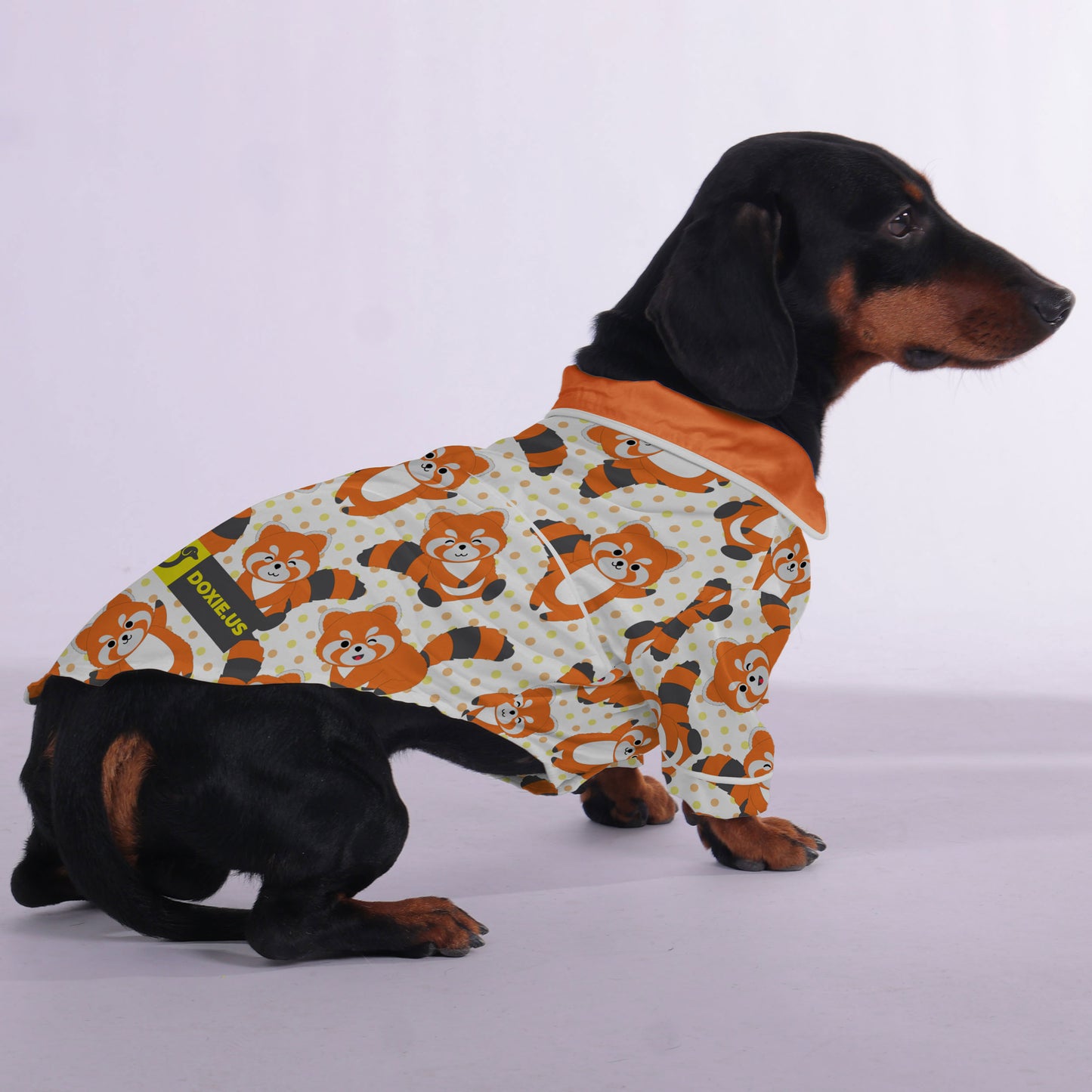 Kiki - Pajamas for Dachshund