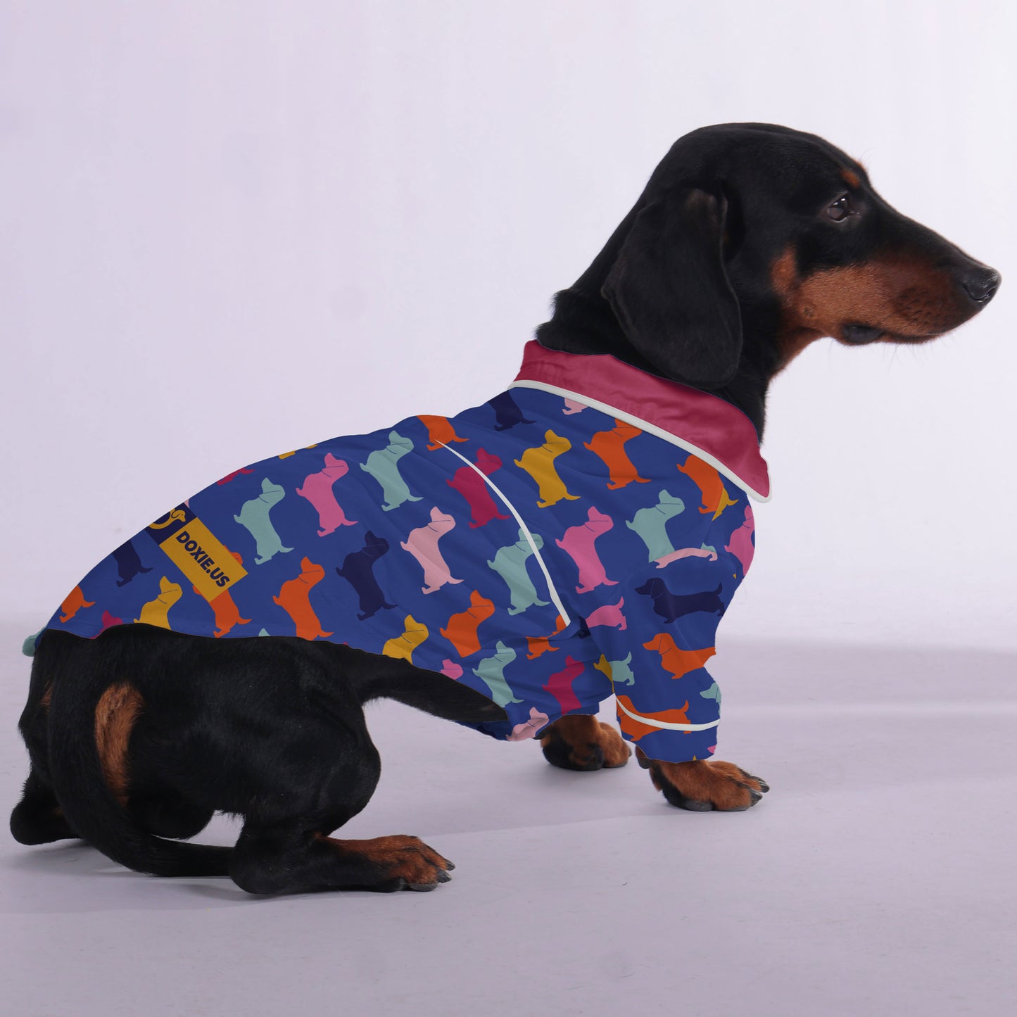 Pepper - Pajamas for Dachshund