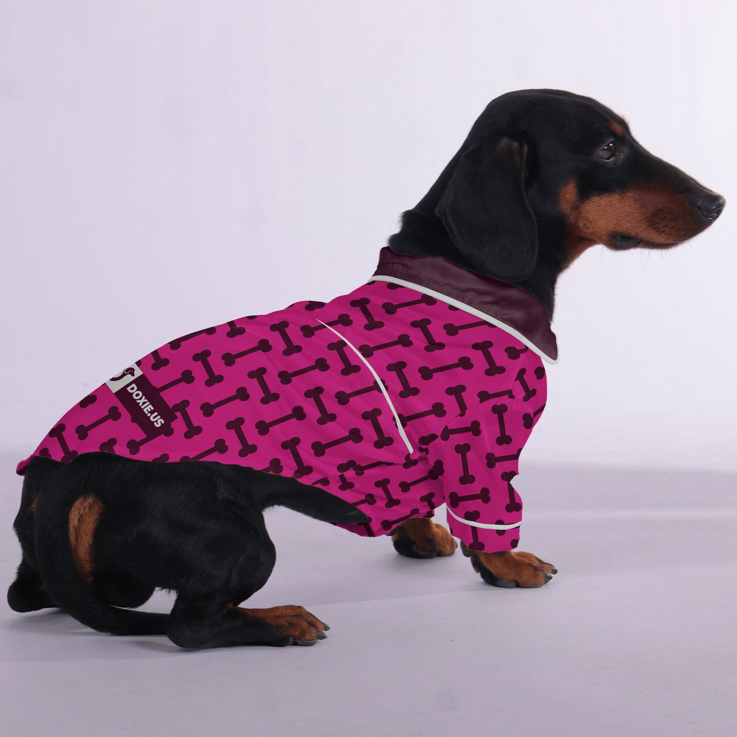 Gilbert - Pajamas for Dachshund