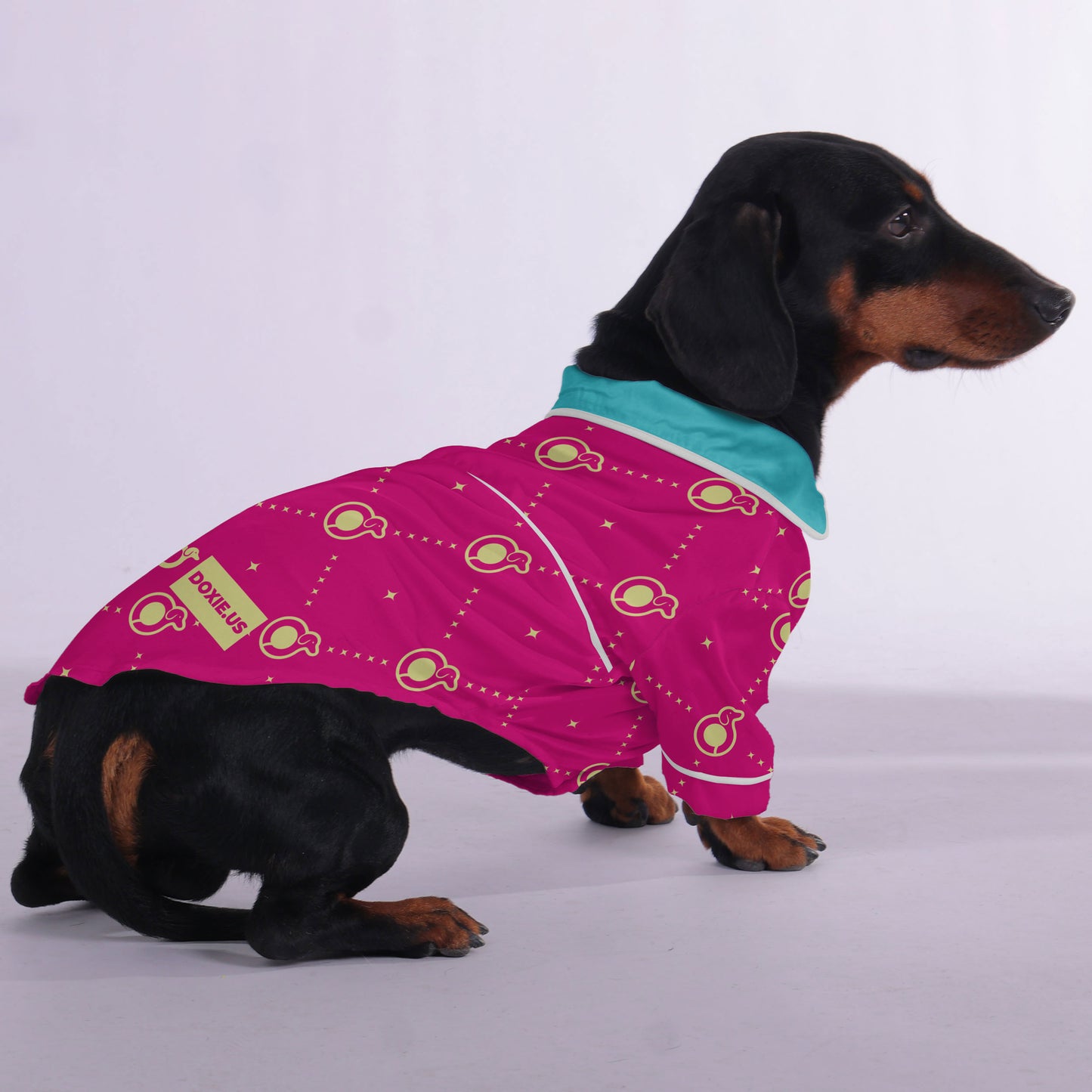 Angel - Pajamas for Dachshund