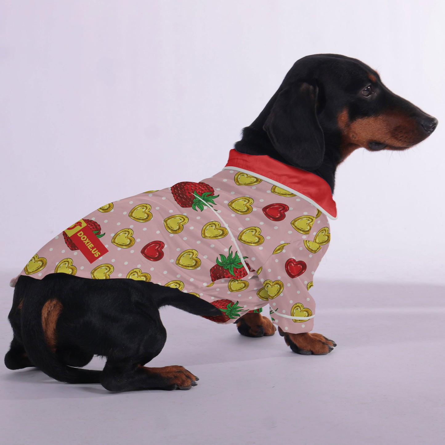 Richard - Pajamas for Dachshund