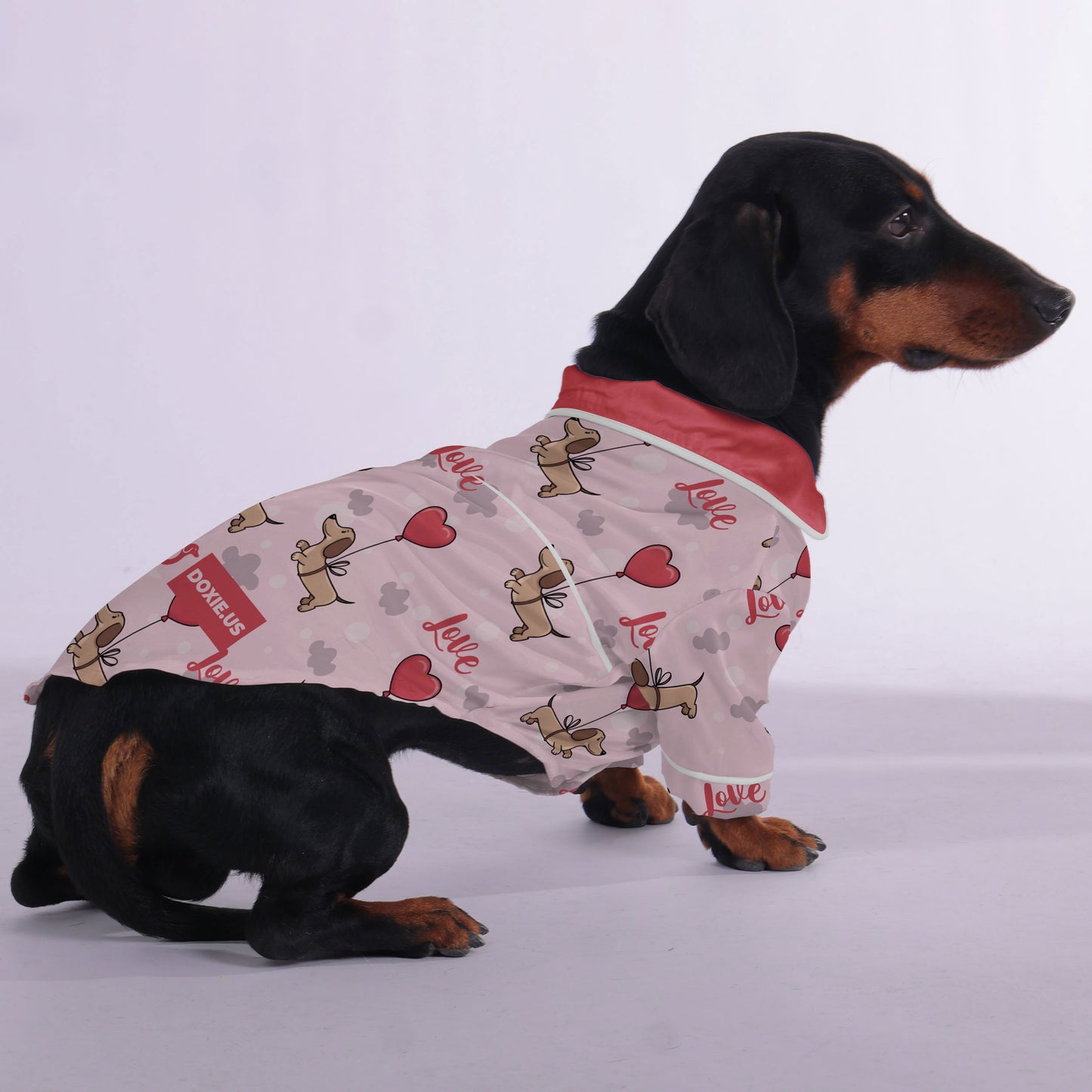 Pete - Pajamas for Dachshund
