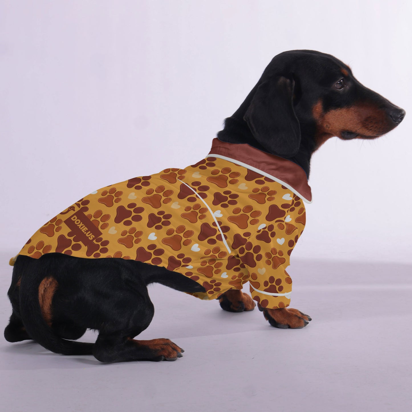 Dexter - Pajamas for Dachshund
