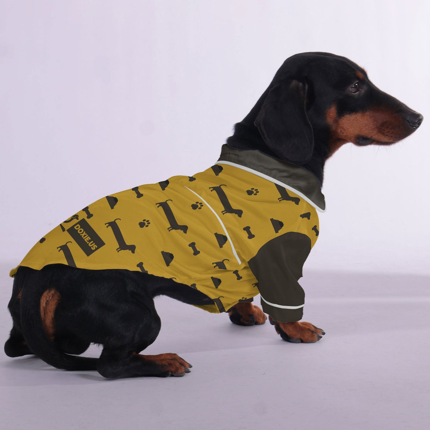 Milo - Pajamas for Dachshund