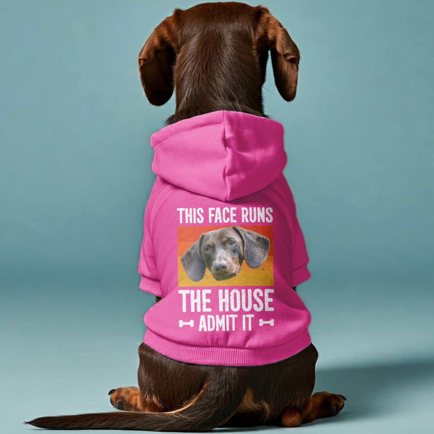 This Face – Personalized Dachshund Hoodies with Your Doxie’s Photo – Stylish, Cozy & Made from Premium 100% Cotton