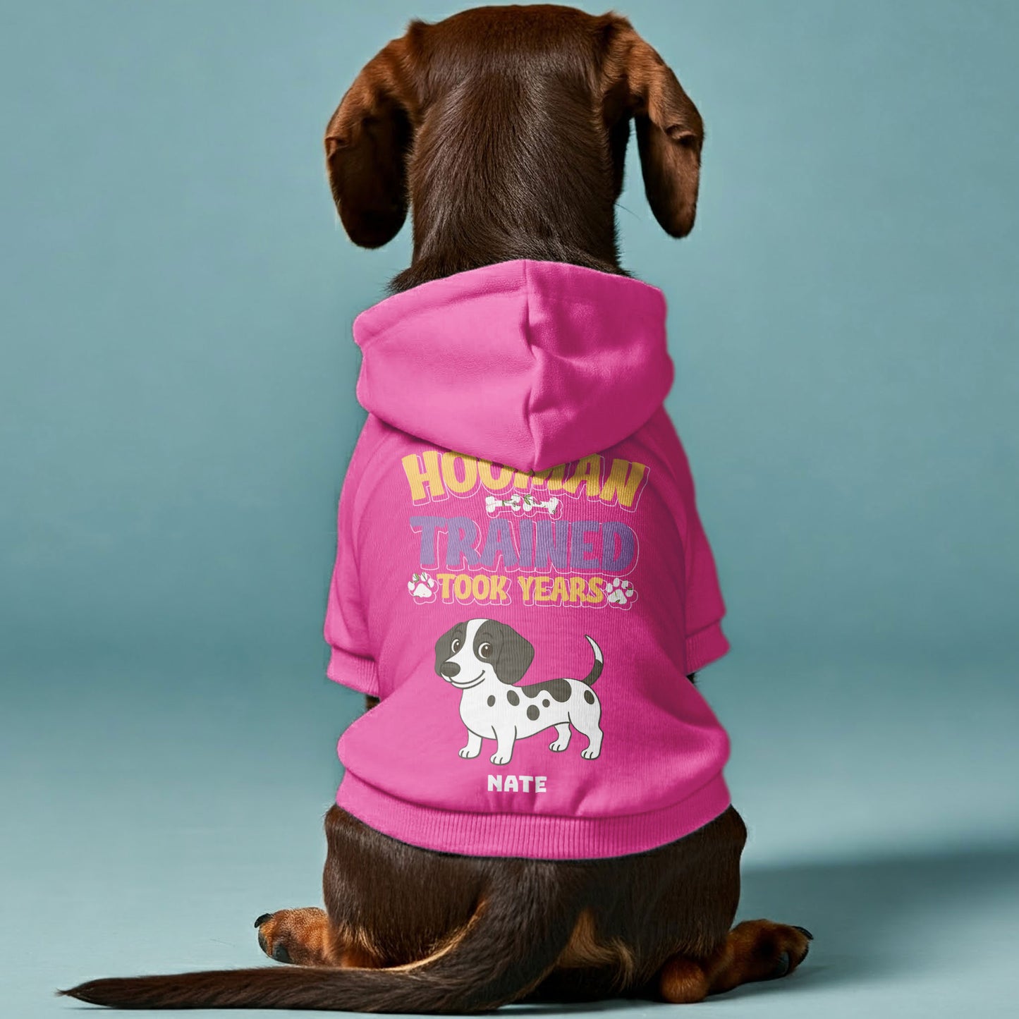 Hooman Trained – Personalized Dachshund Hoodies with Your Doxie’s Name & Clipart – Stylish, Cozy & Made from Premium 100% Cotton