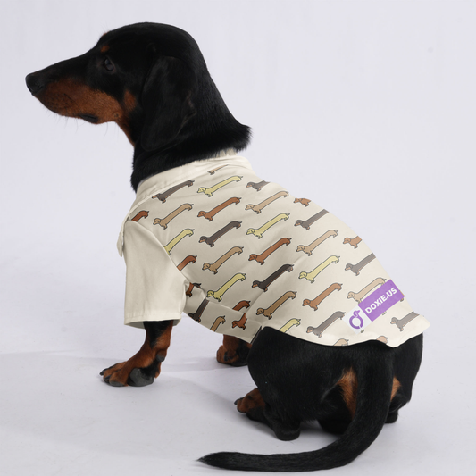 Pepper - Hawaiian Shirt for Doxies
