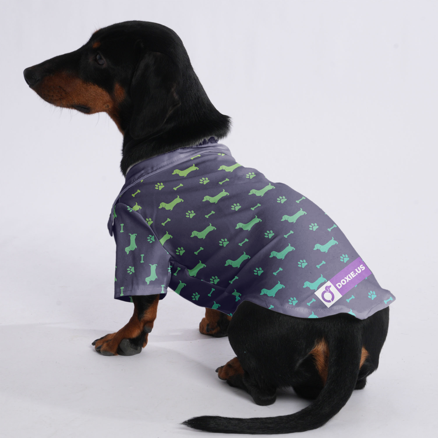 Hugo - Hawaiian Shirt for Doxies