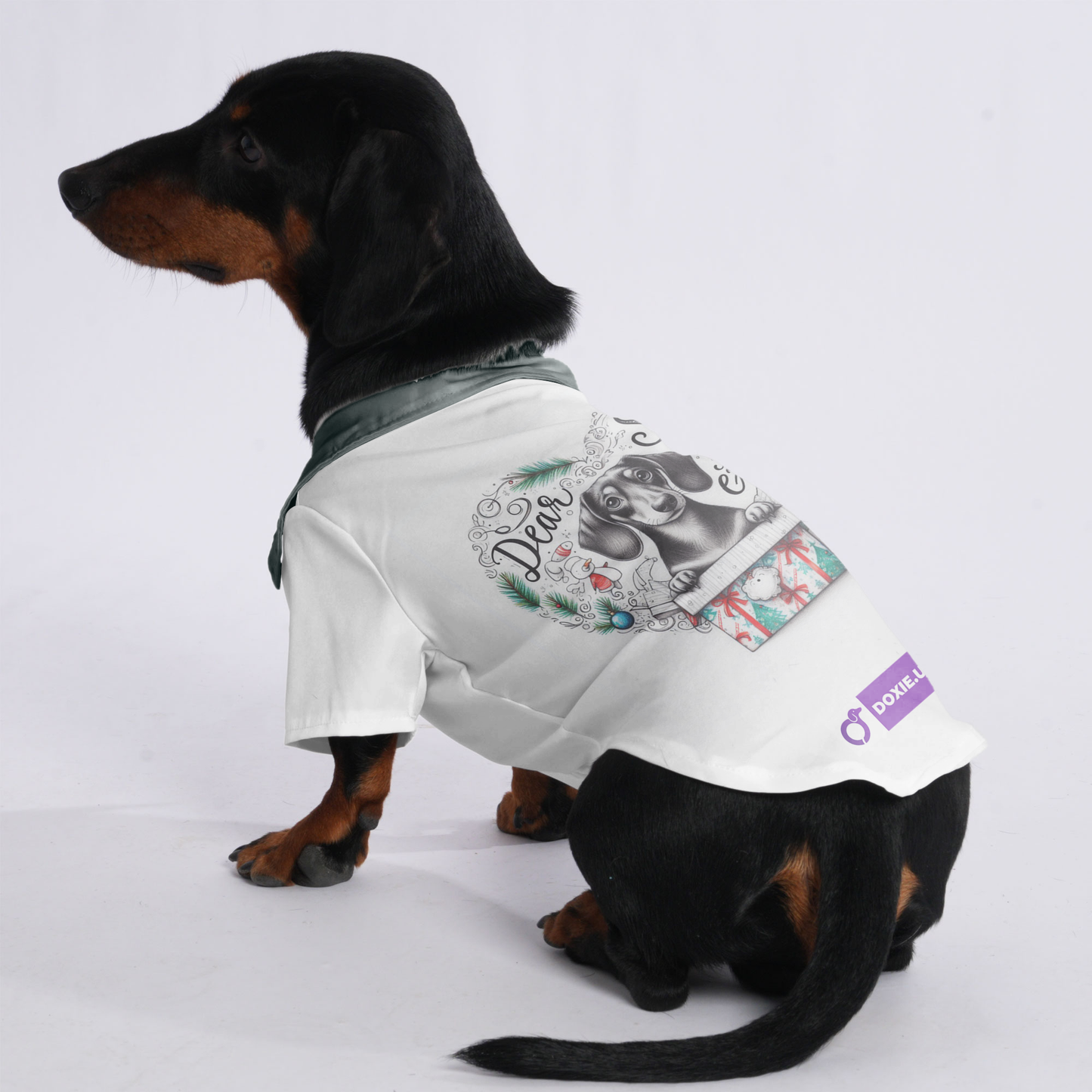 Dear Santa, I can explain... - Hawaiian Shirt for Doxies