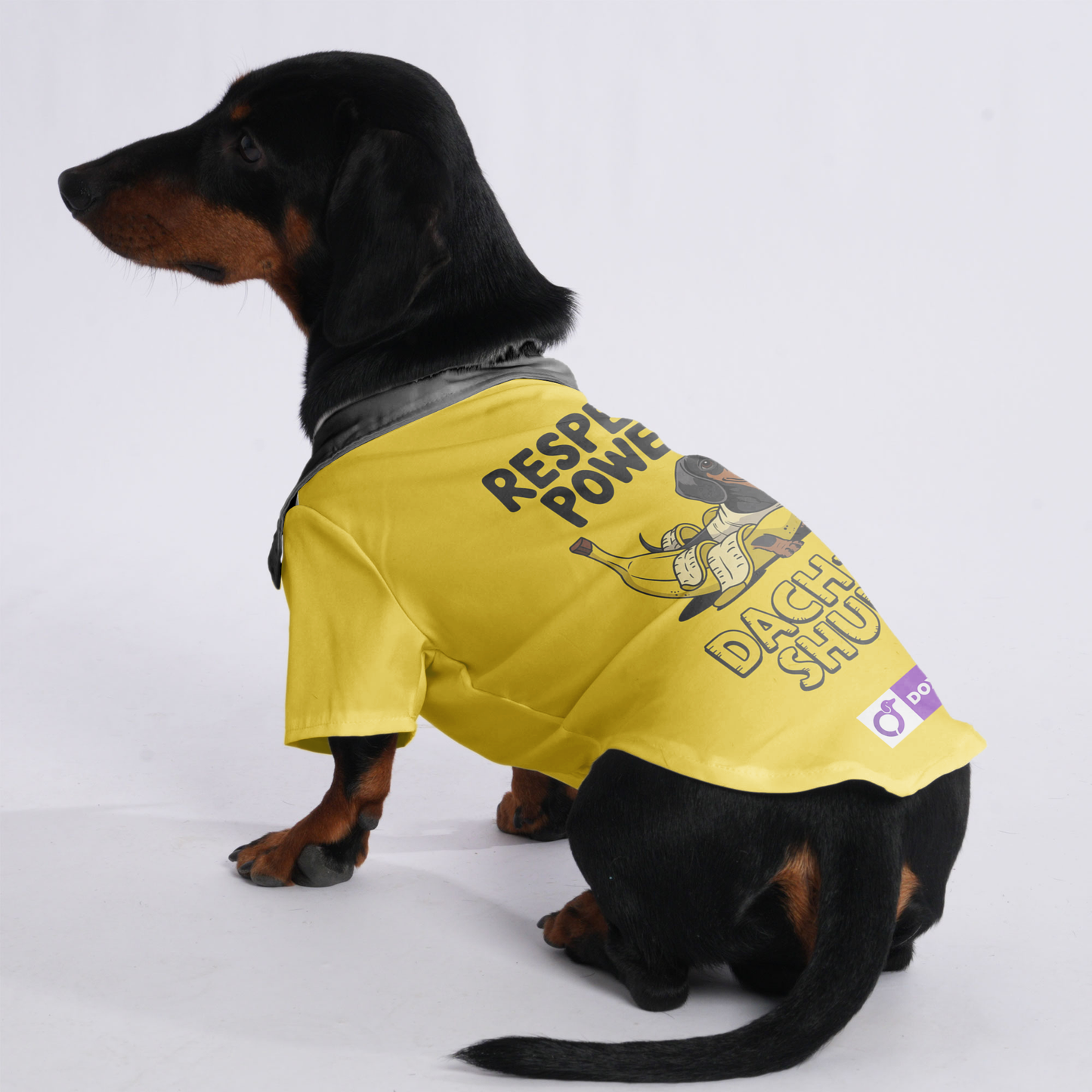 RESPECT, POWER, DACHSHUND - Hawaiian Shirt for Doxies