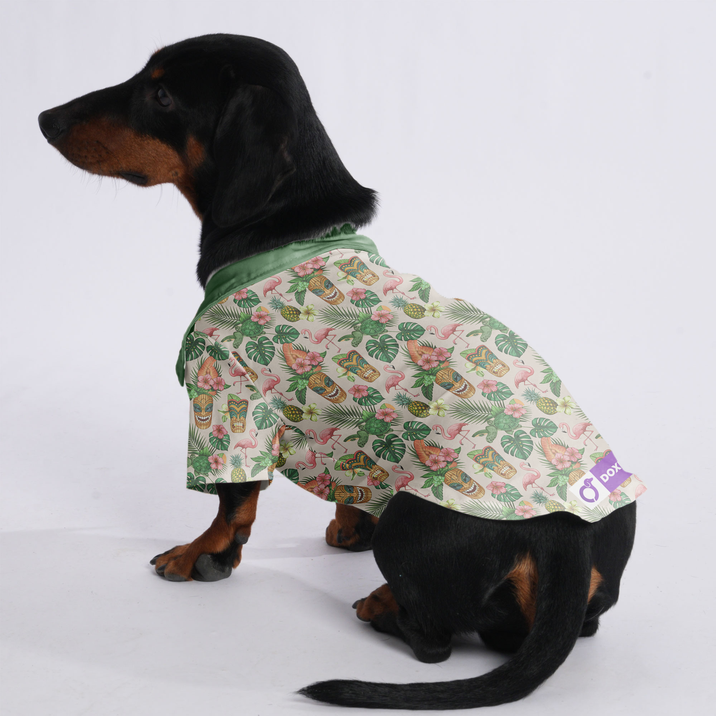 Oliver - Hawaiian Shirt for Doxies