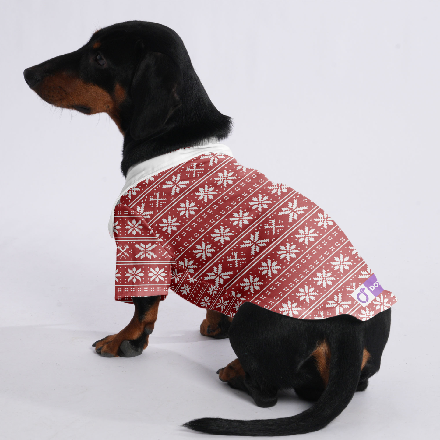 Max - Hawaiian Shirt for Doxies