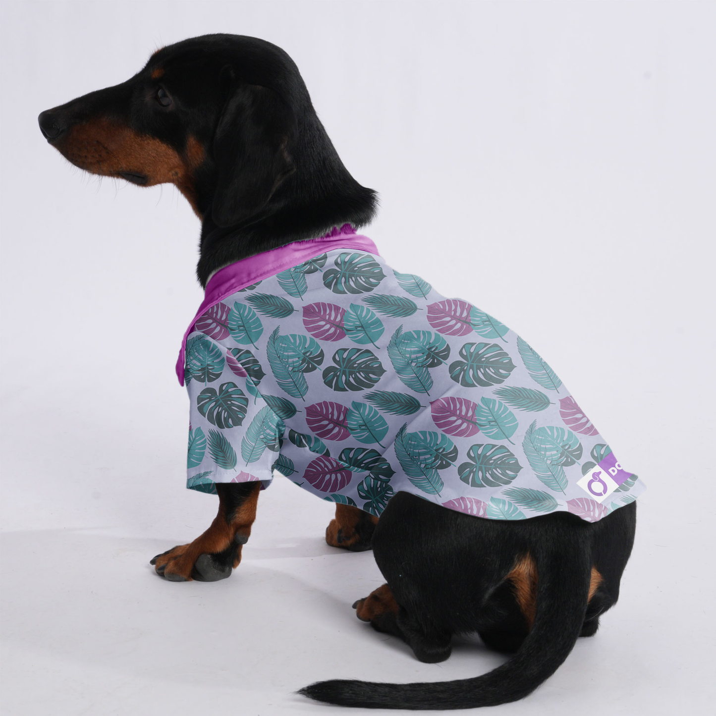 Duke - Hawaiian Shirt for Doxies