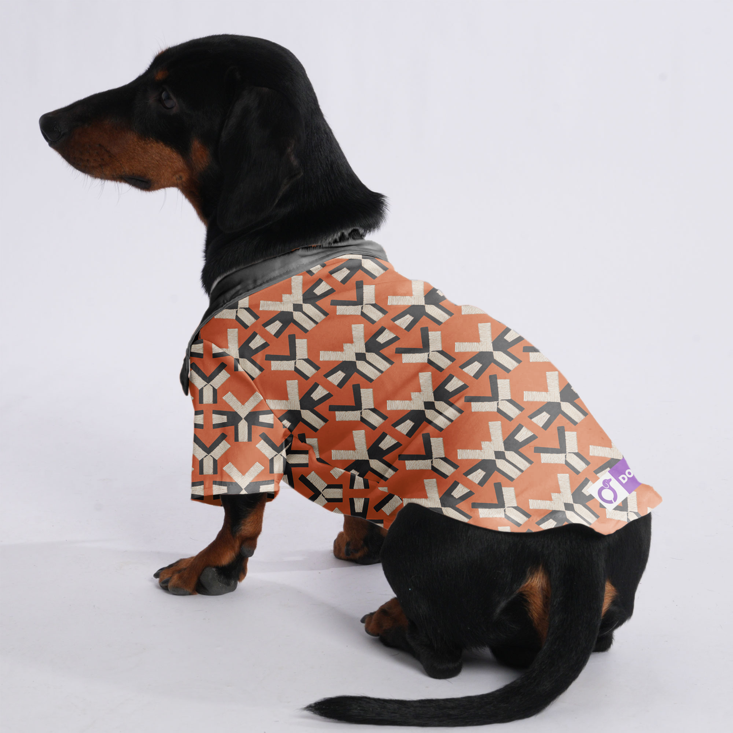 Cookie - Hawaiian Shirt for Doxies