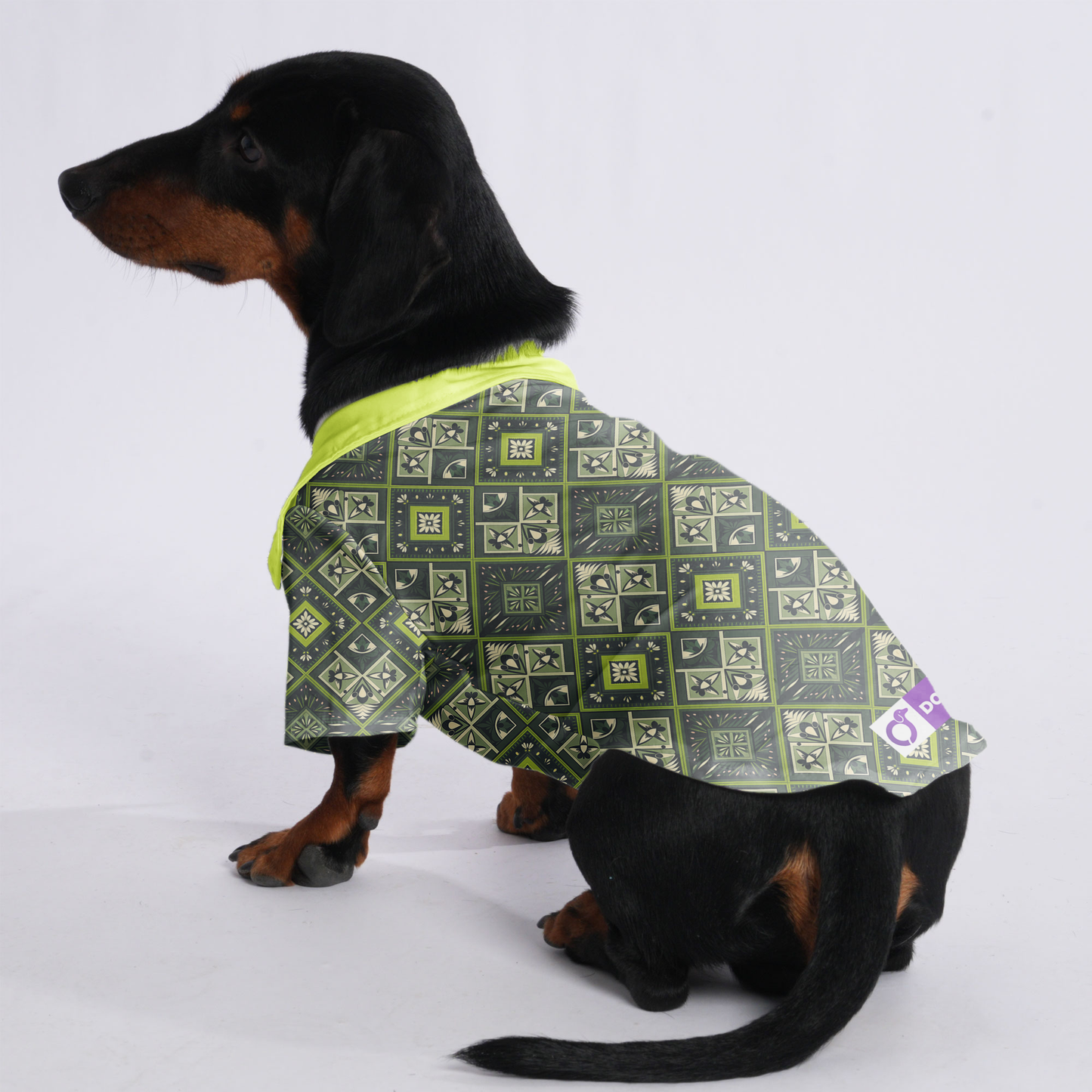 Jack - Hawaiian Shirt for Doxies