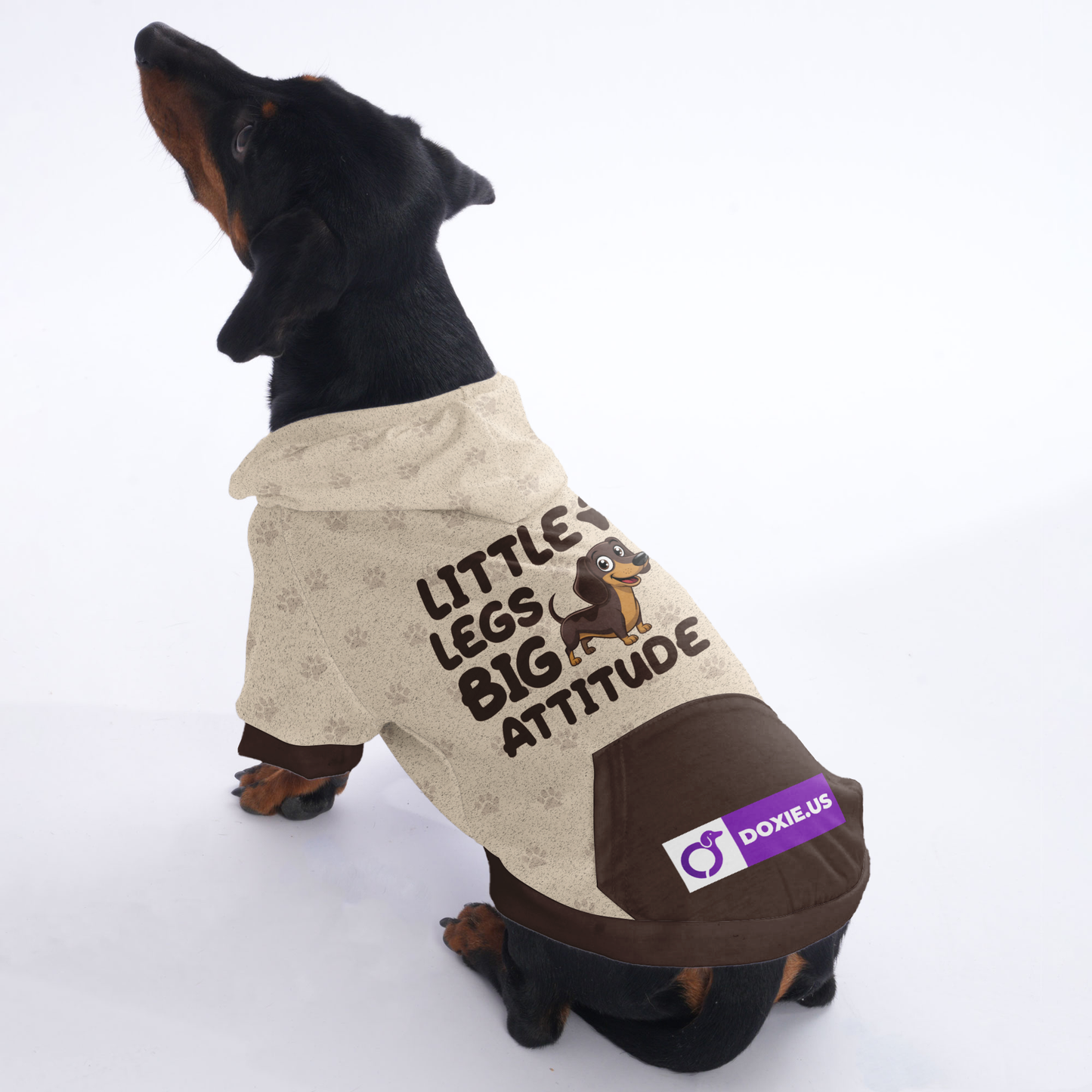 LITTLE LEGS, BIG ATTITUDE - Hoodies for Dachshunds