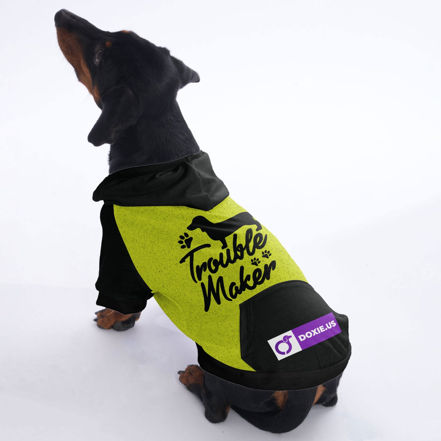 Trouble maker - Hoodies for Dachshunds