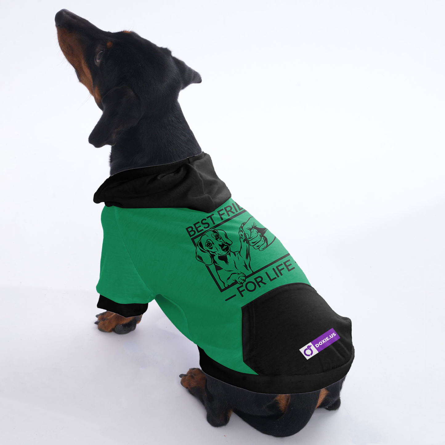 Teddy - Hoodies for Dachshunds