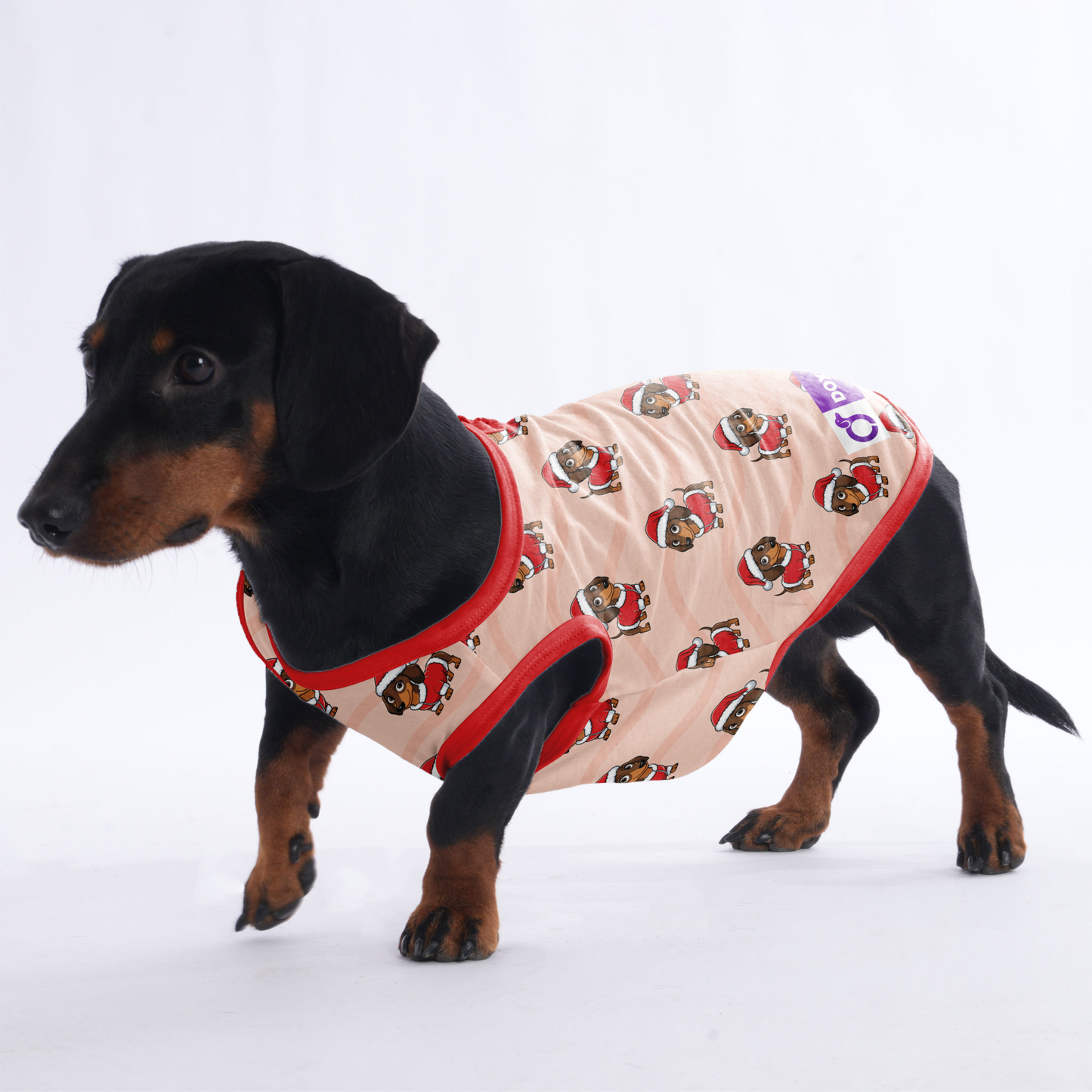 Mochi - Shirt for Dachshunds