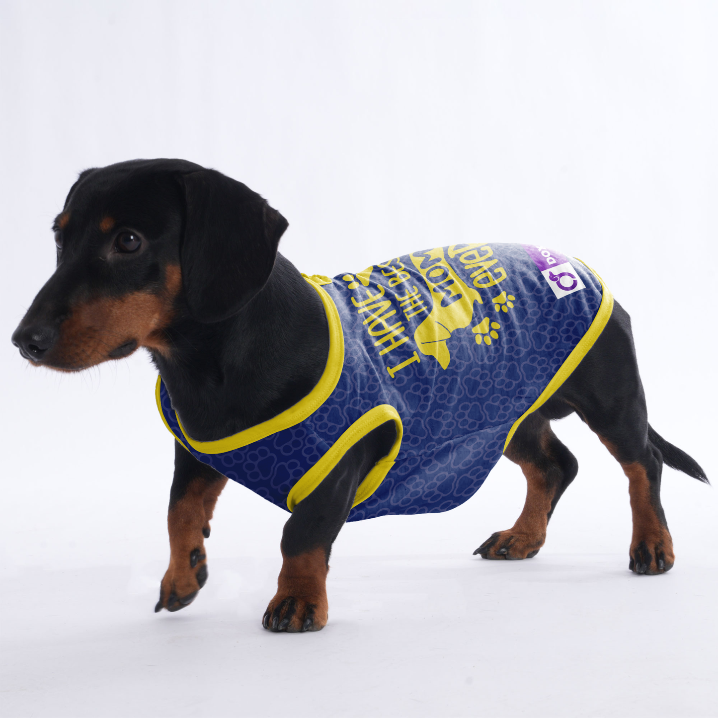 I have the best mom ever - Shirt for Dachshunds