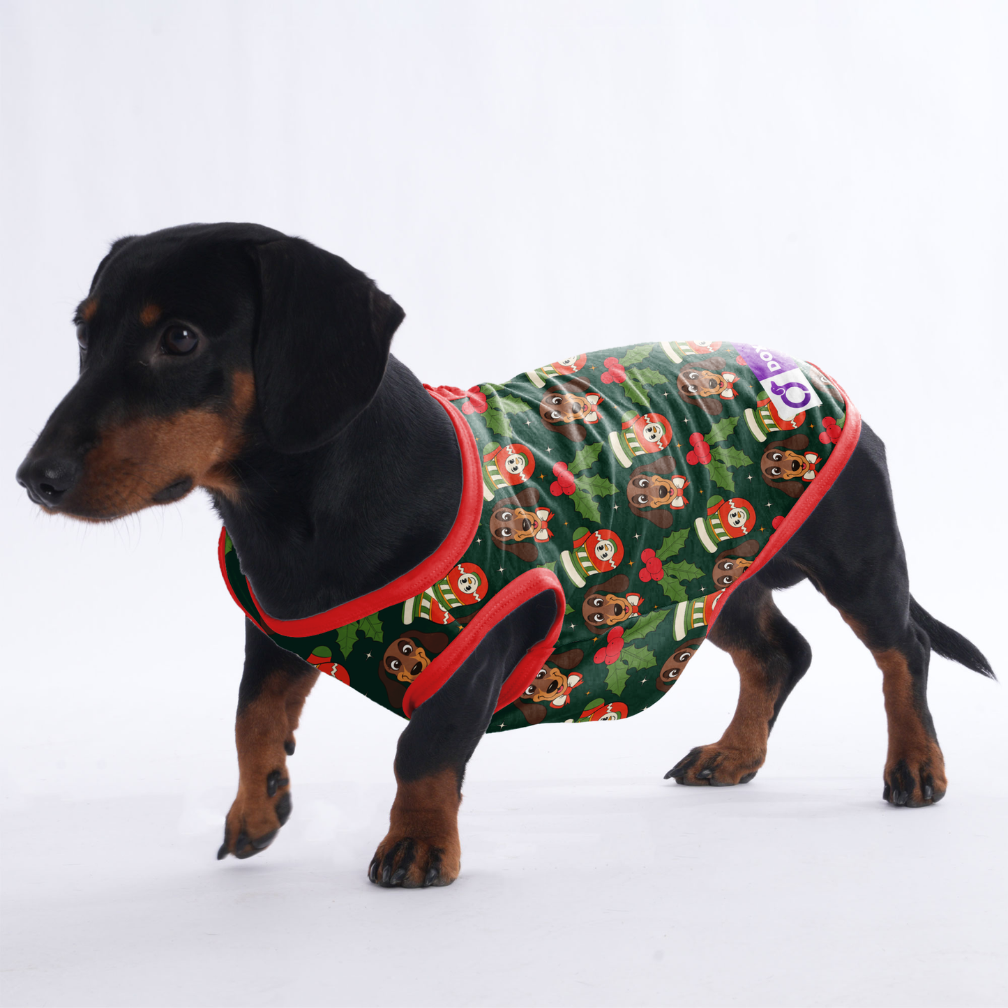 Dexter - Shirt for Dachshunds