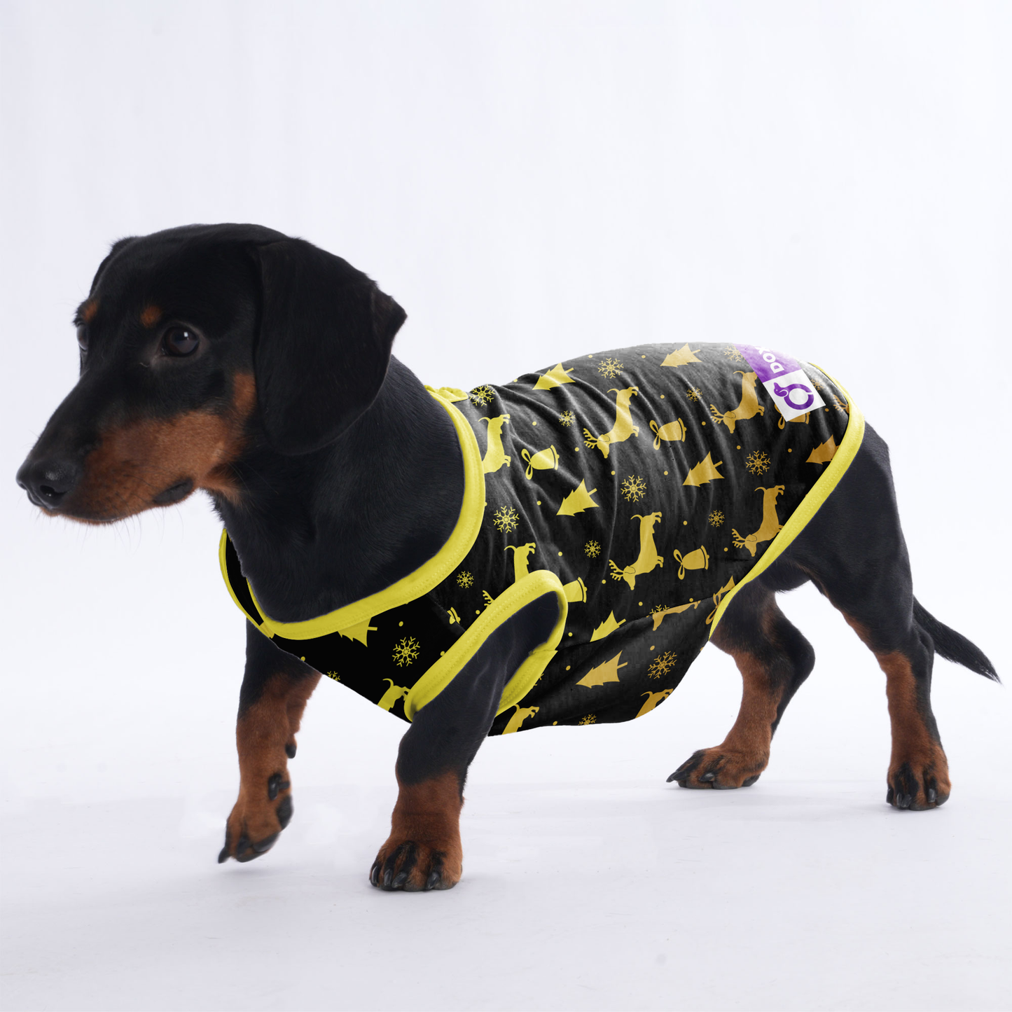 Travis - Shirt for Dachshunds
