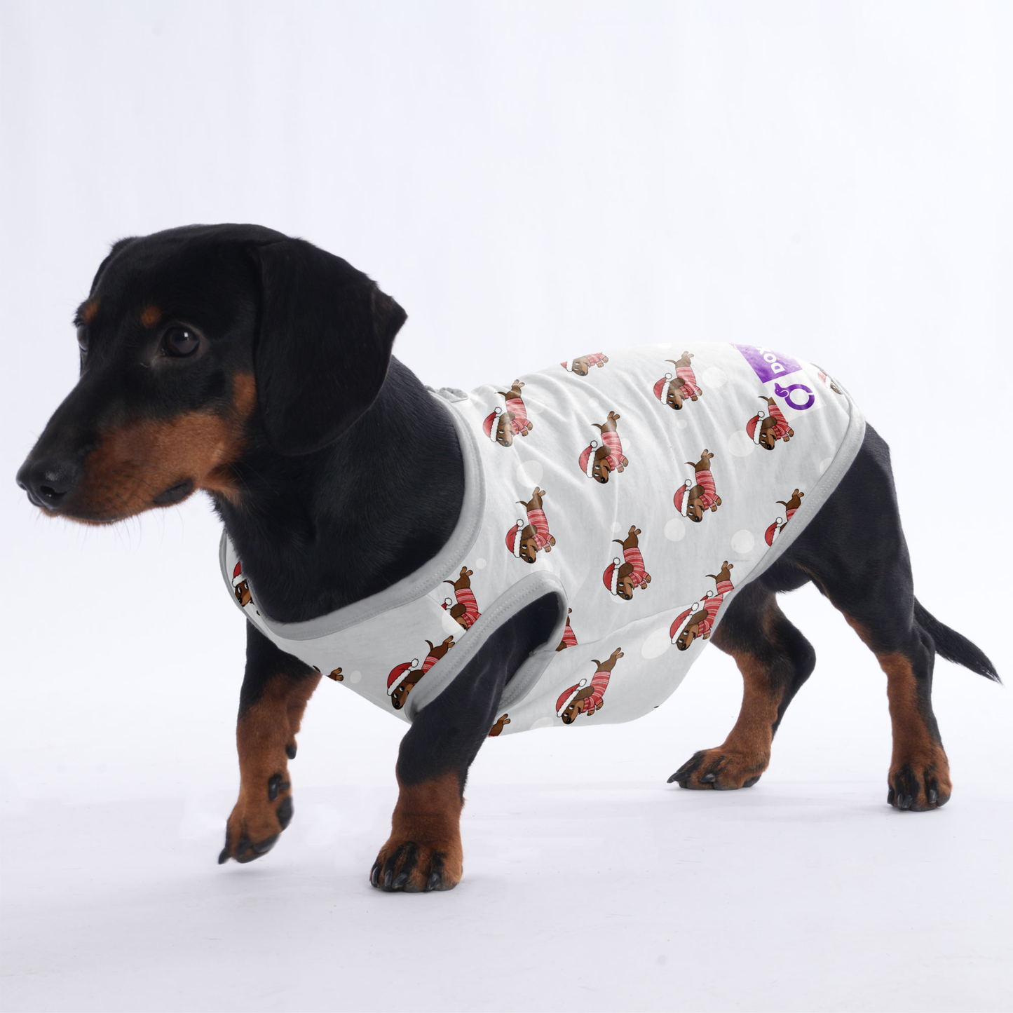 Mabel - Shirt for Dachshunds