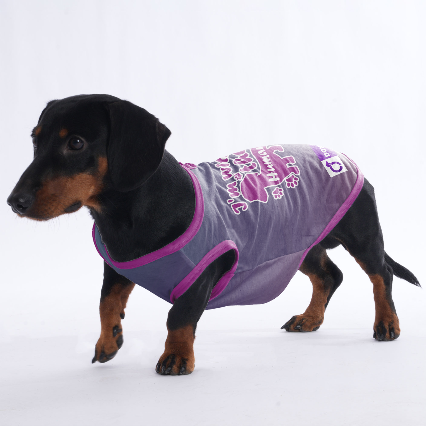 I'm with the human - Shirt for Dachshunds