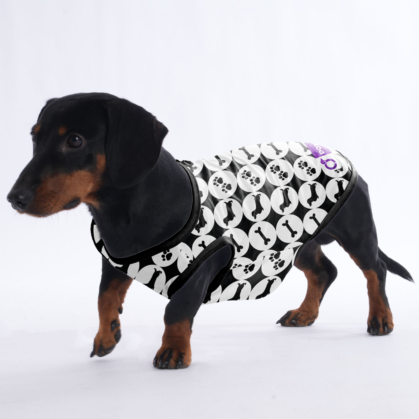 Jack - Shirt for Dachshunds