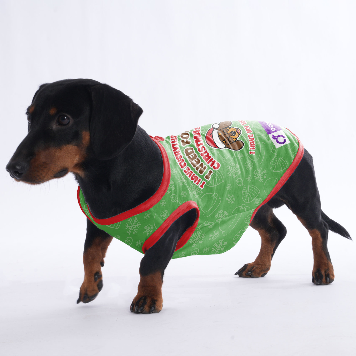 I HAVE EVERYTHING I NEED FOR CHRISTMAS, I HAVE MY HUMAN - Shirt for Dachshunds
