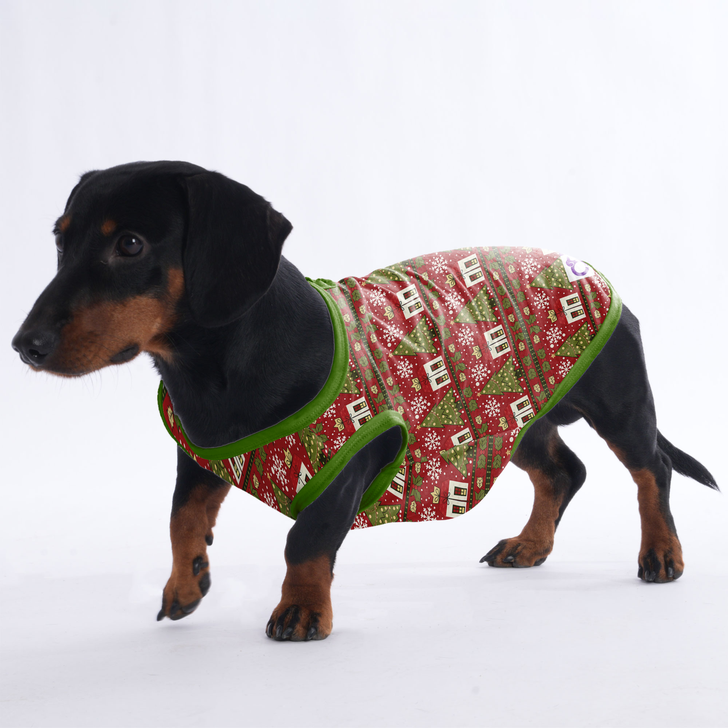 Cooper - Shirt for Dachshunds