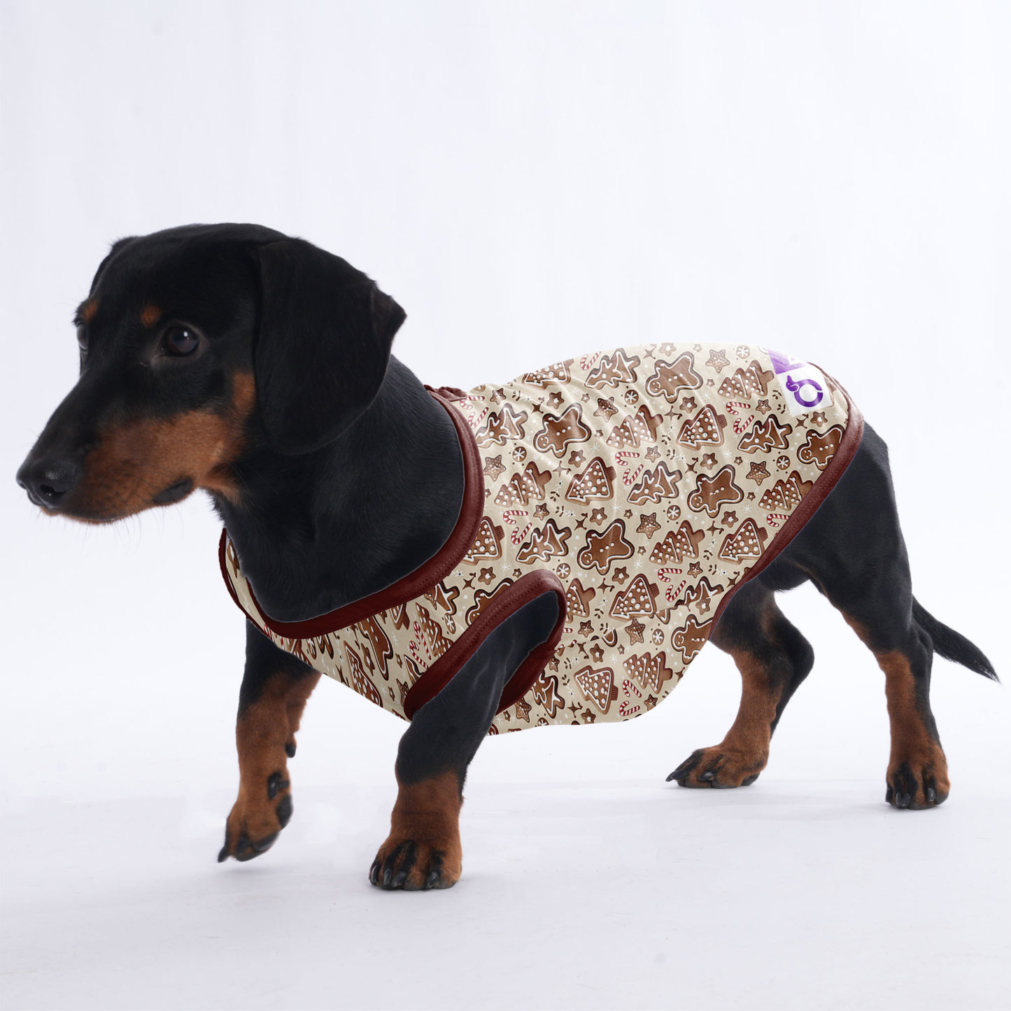 Molly - Shirt for Dachshunds