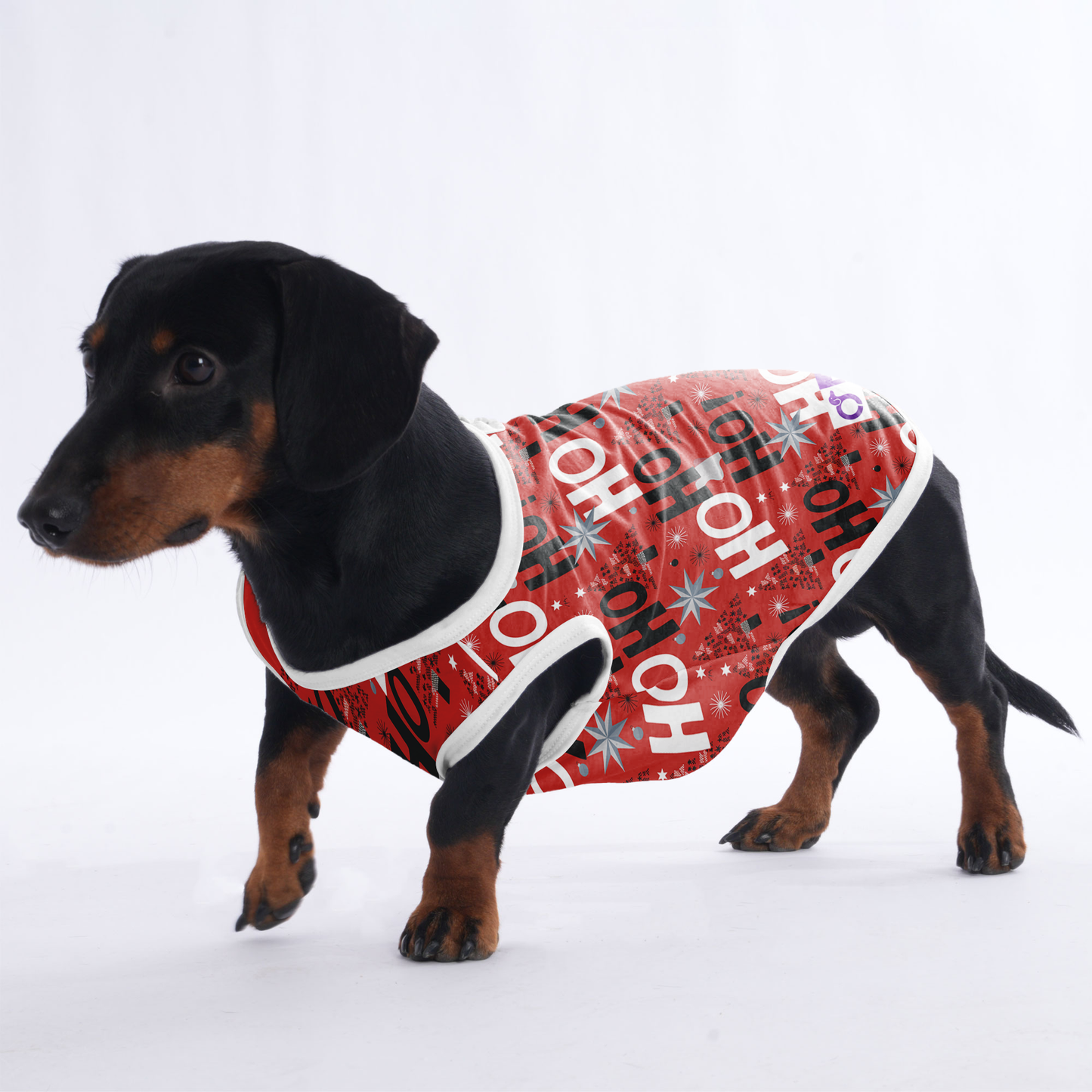Sadie - Shirt for Dachshunds