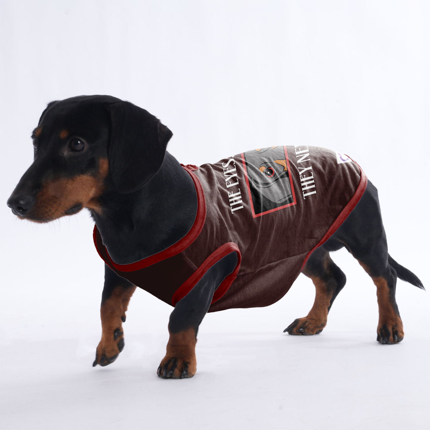 Maggie - Shirt for Dachshunds