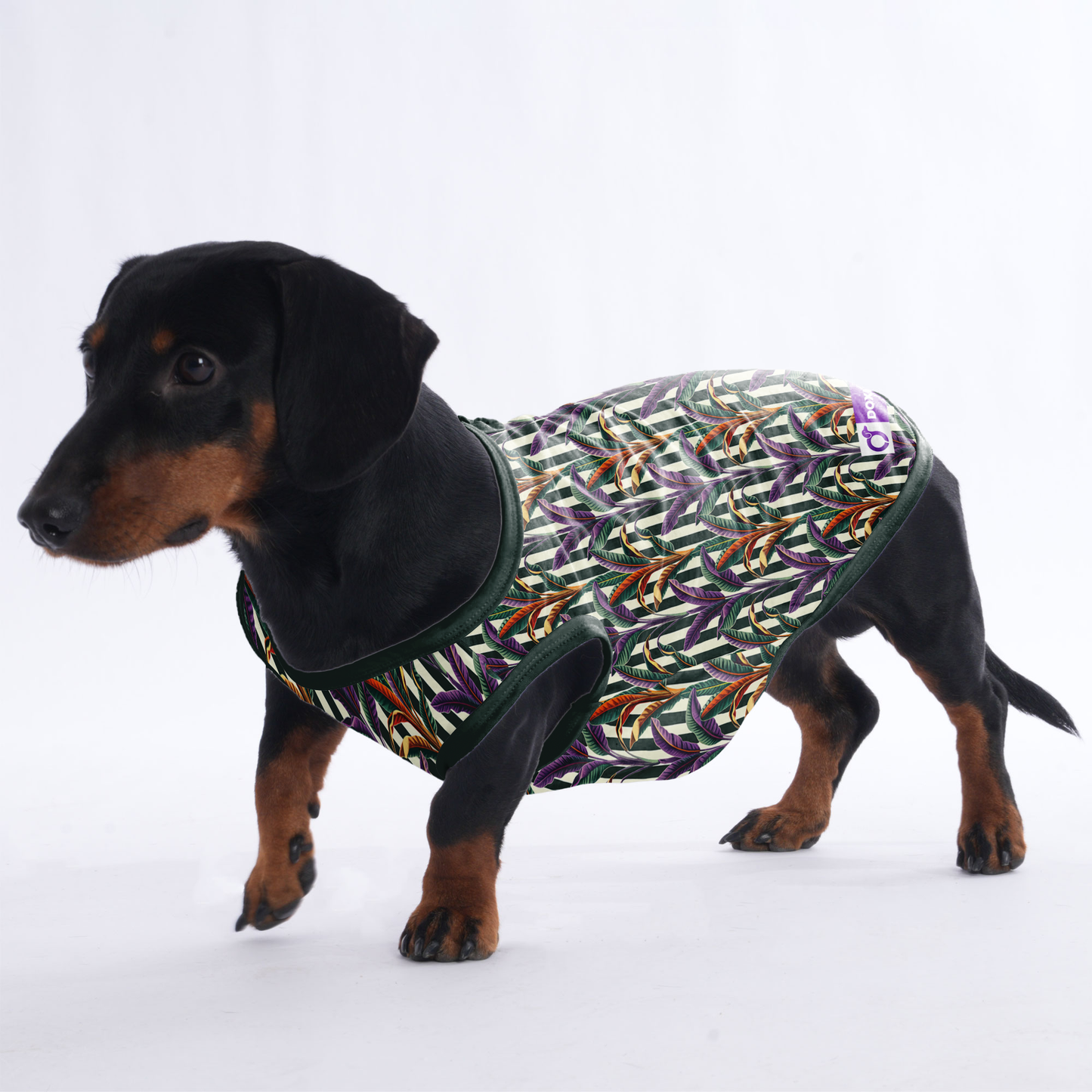 Poppy - Shirt for Dachshunds